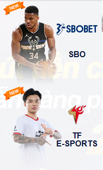 SBOBET thể thao online